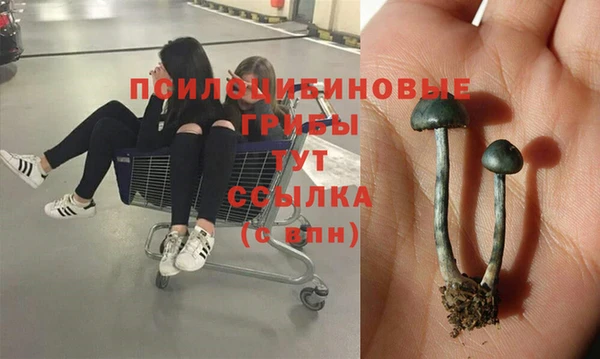 ALPHA PVP Балахна