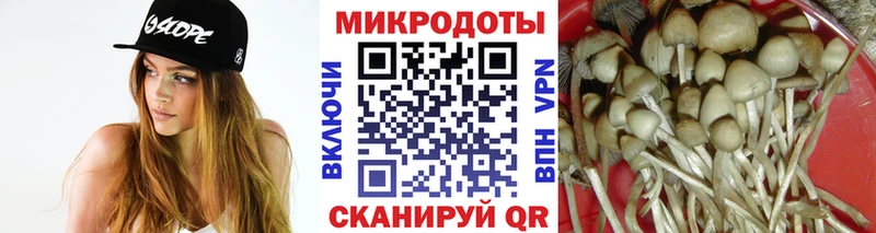 Галлюциногенные грибы мухоморы  kraken ссылки  Сосновоборск 
